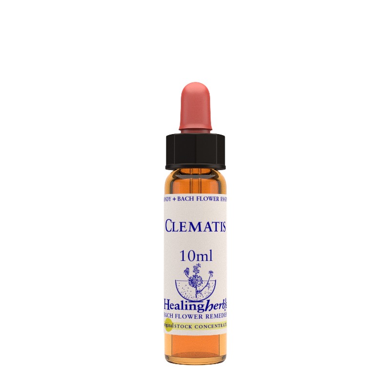 Fiori di Bach Healing Herbs - Clematis