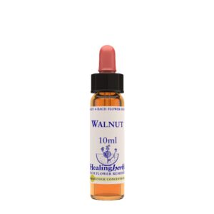 Fiori di Bach Healing Herbs - Walnut
