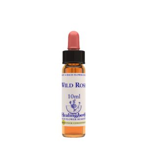 Fiori di Bach Healing Herbs - Wild Rose