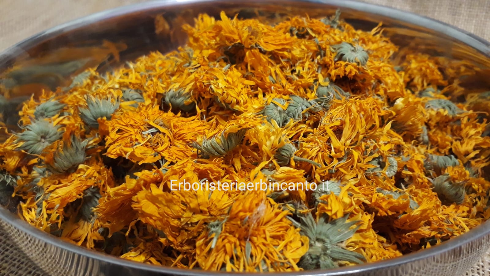 Calendula